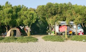 Camping Palouki Amaliada Peloponnese Greece
