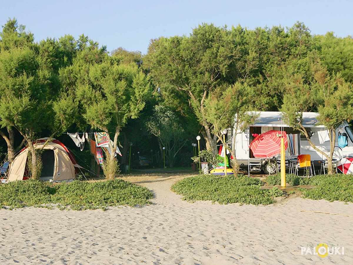 camping palouki amaliada Peloponnese greece